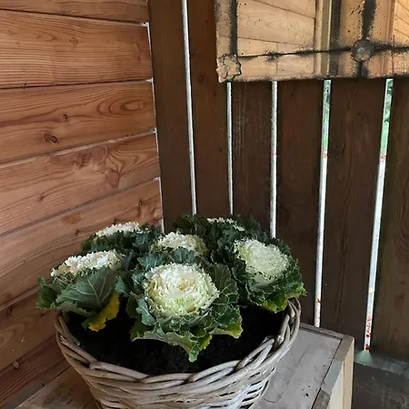 Chez Camille Dağ evi Saint-Hubert