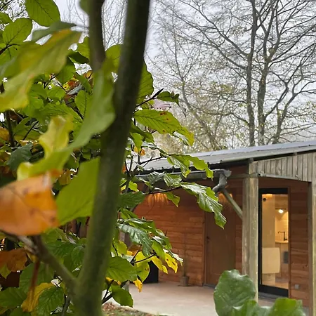 Chez Camille * Saint-Hubert