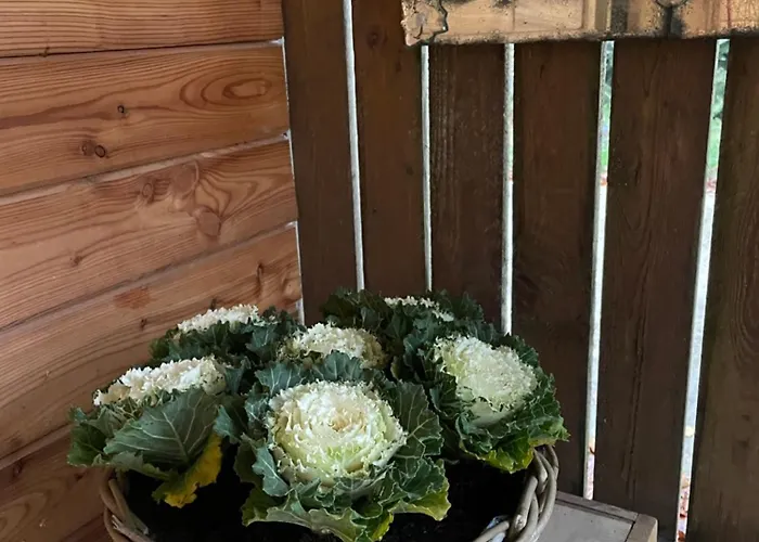 Chez Camille Chalet Saint-Hubert