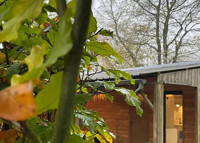 Chez Camille * Saint-Hubert